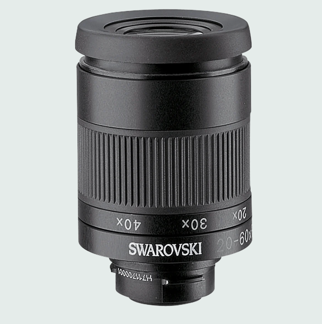 OCULARE SWAROVSKI OPTIK 20-60x eyepiece module