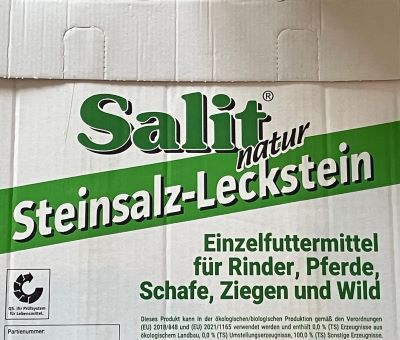 LECKSTEIN SALIT STEINSALTZ